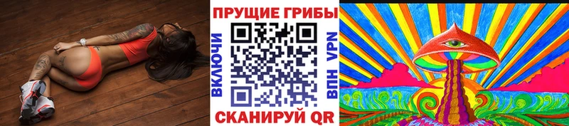 Псилоцибиновые грибы Psilocybe  Иваново 