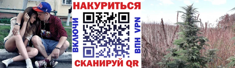 Шишки марихуана индика  купить  сайты  omg вход  Иваново 